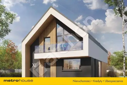 Podlesie mleczkowskie   2