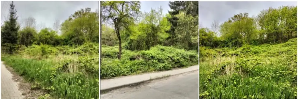  Szczecin   Koszalińska 