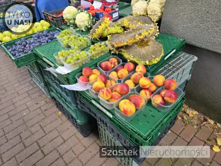 Częstochowa ,  Aleja Pokoju   12