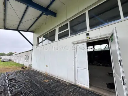 Oborniki śląskie ,  Ciecholowicka   11