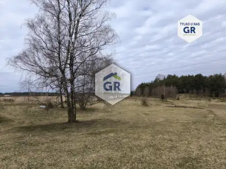  Skorzewo   Łubinowa 