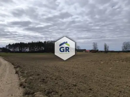 Skorzewo ,  Łubinowa   4