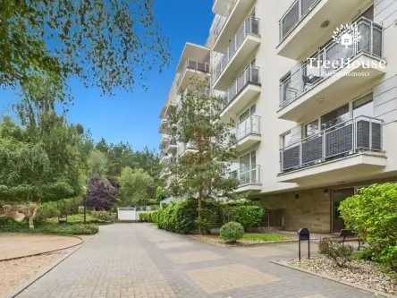 Bartąg ,  Tęczowy Las   13