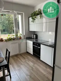 Toruń ,  Bluszczowa   4