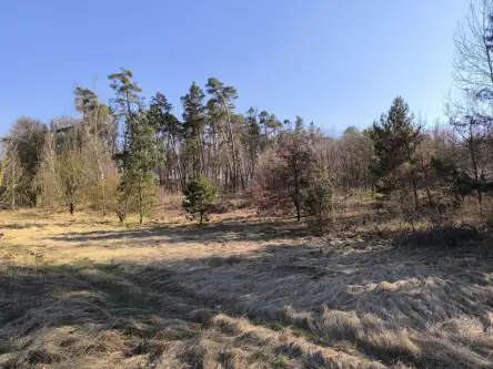 Szczecin ,  Pyrzycka   5