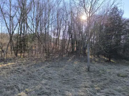 Szczecin ,  Pyrzycka   7