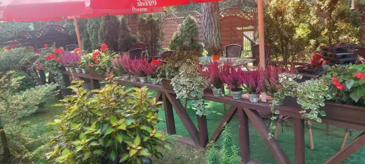  Augustów   Wczasowa 