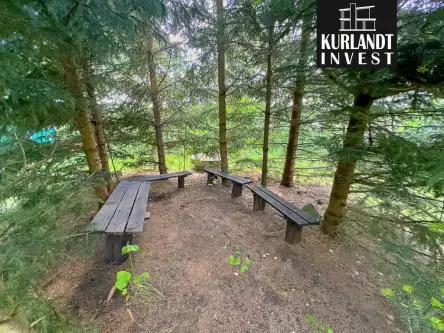 Gliśno wielkie   13