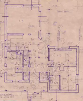 śladków mały   14