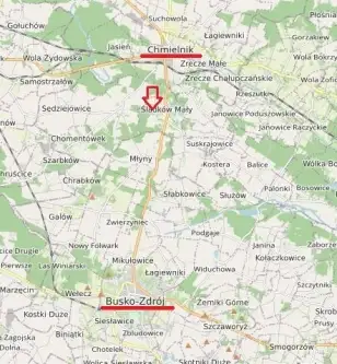 śladków mały   18