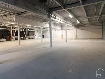 Zabrze ,  Sobieraja   4