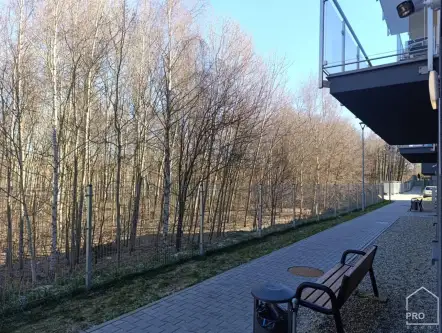 Gliwice ,  Dickensa   16