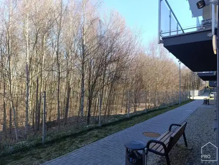 Gliwice ,  Dickensa   19