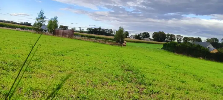 Wyszecino ,  Myśliwska   11