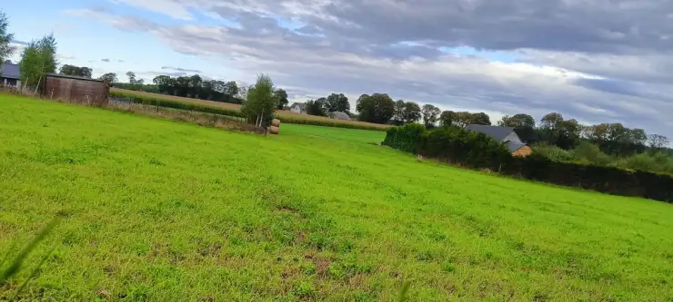 Wyszecino ,  Myśliwska   12