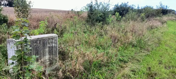 Wyszecino ,  Myśliwska   6