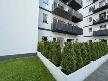 Warszawa ,  Lekka   13