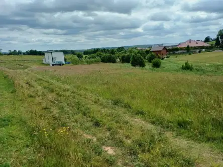 Kamela ,  Wiktorii   3