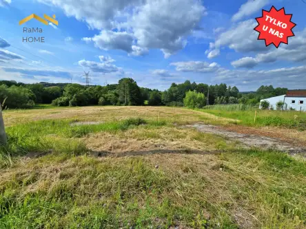 Wola Radziszowska ,  Adama Mickiewicza   8