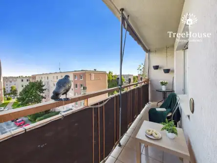 Olsztyn ,  Immanuela Kanta   15