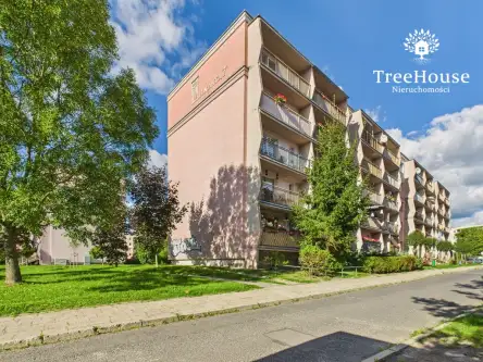 Olsztyn ,  Immanuela Kanta   17