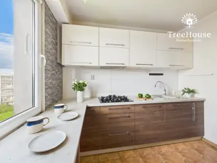 Olsztyn ,  Immanuela Kanta   8