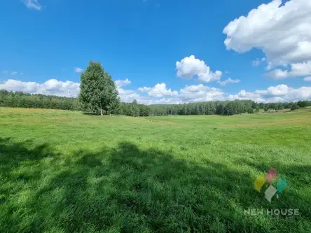 Bartołty wielkie   11