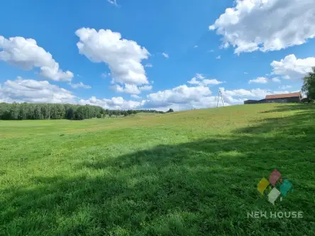 Bartołty wielkie   12