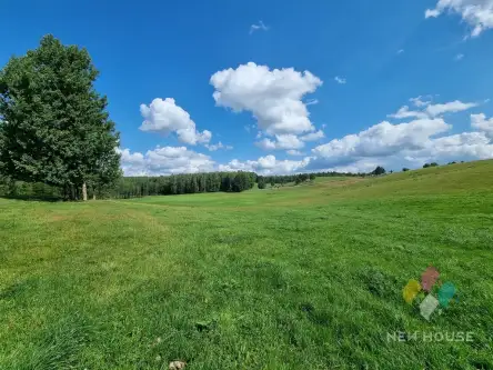 Bartołty wielkie   13