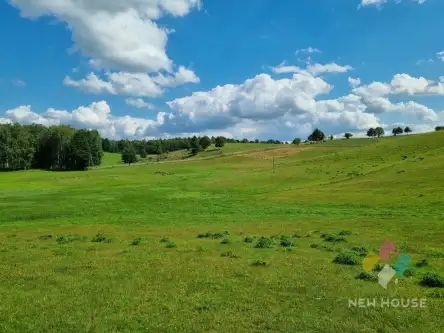 Bartołty wielkie   6