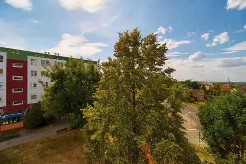 Głogów ,  Perseusza   7