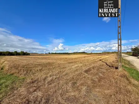 Tuchola ,  Aleksandra Janta-Połczyńskiego   7