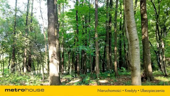 Wieprz ,  Graniczna   5