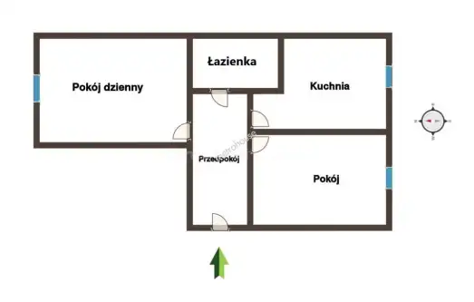 Zabrze ,  Witkacego   10