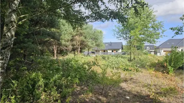  Stara wieś   Piniowa 