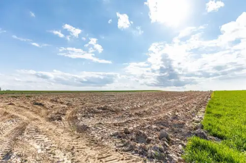 Wojciechów-kolonia pierwsza   5