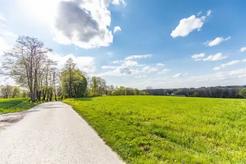 Wojciechów-kolonia pierwsza   5