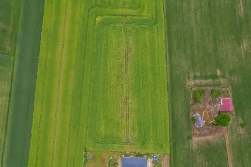 Niedrzwica duża   3