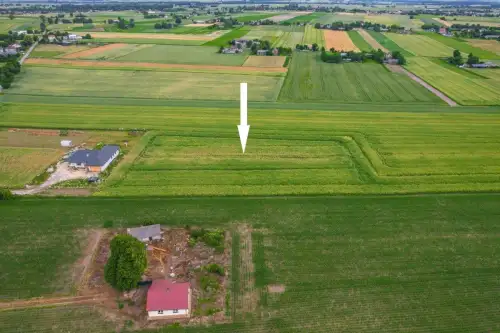 Niedrzwica duża   3