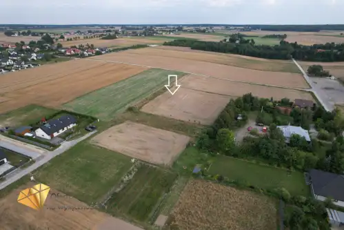 Niedrzwica duża   4