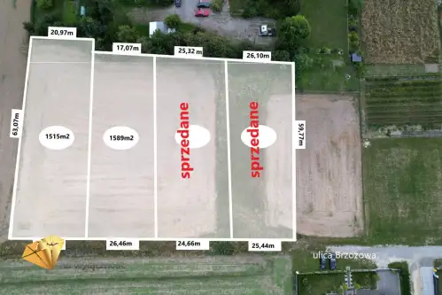 Niedrzwica duża   6