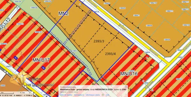 Niedrzwica duża   7