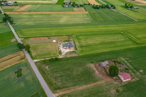 Niedrzwica duża   10