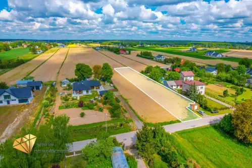 Zemborzyce podleśne   3