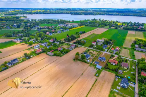 Zemborzyce podleśne   8