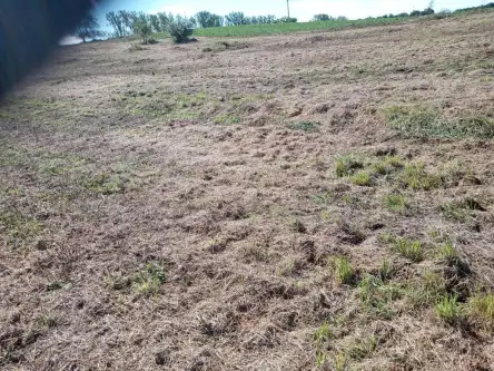  Kraków   Olszanicka 