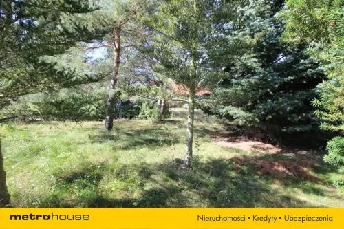 Kazimierz ,  Spacerowa   6