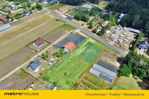 Antonie ,  Mazurska   11