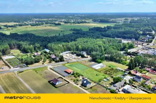 Antonie ,  Mazurska   12