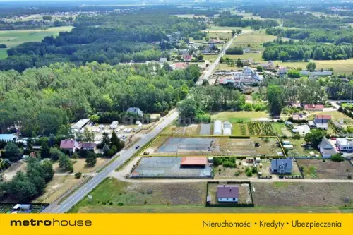 Antonie ,  Mazurska   2